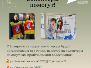 Всероссийское онлайн-голосование