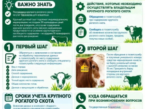Памятки владельцам ЛПХ о постановке на учет в компонент «Хорриот»