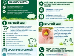 Памятки владельцам ЛПХ о постановке на учет в компонент «Хорриот»